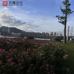 宅男色影视亚洲人在线
